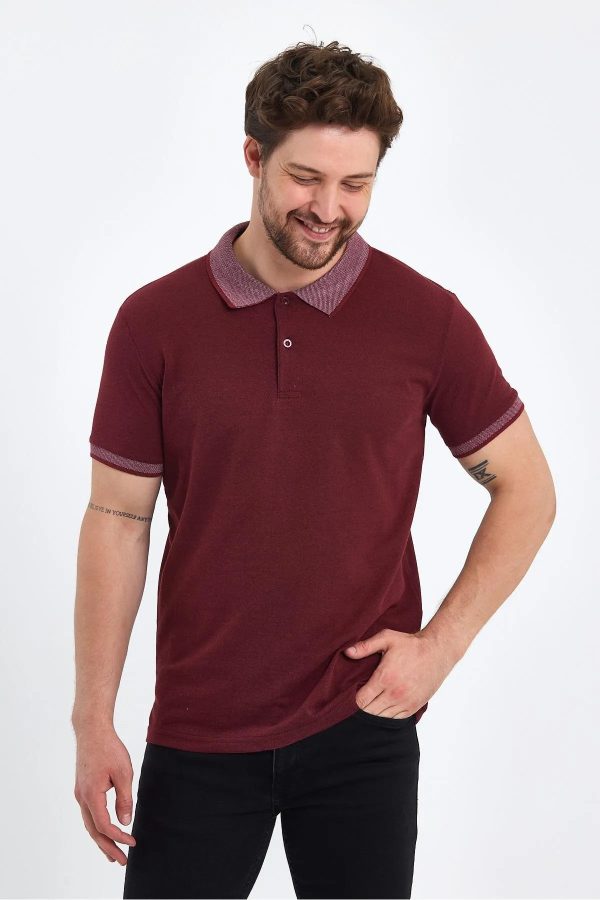 Erkek Polo Yaka Tişört - Görsel 2