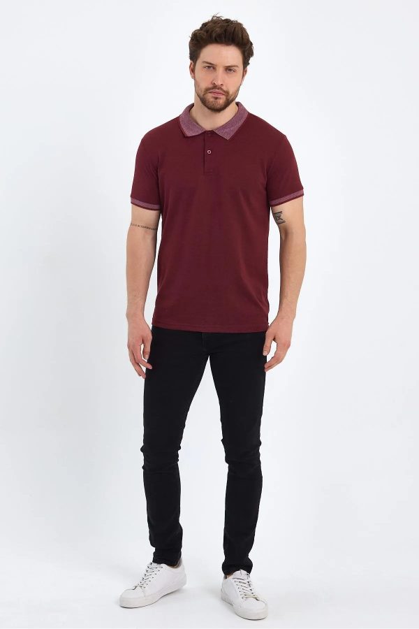 Erkek Polo Yaka Tişört - Görsel 3