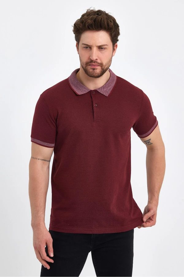 Erkek Polo Yaka Tişört - Görsel 4
